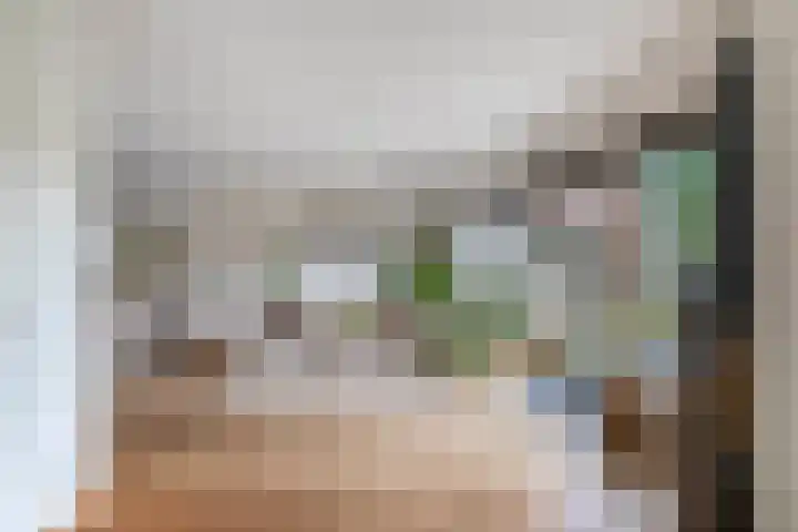 Zomerzon 10 Assendelft thumbnail 13