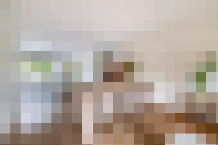 Zomerzon 10 Assendelft thumbnail 14
