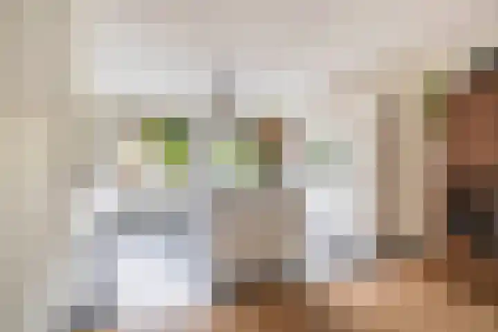 Zomerzon 10 Assendelft thumbnail 15