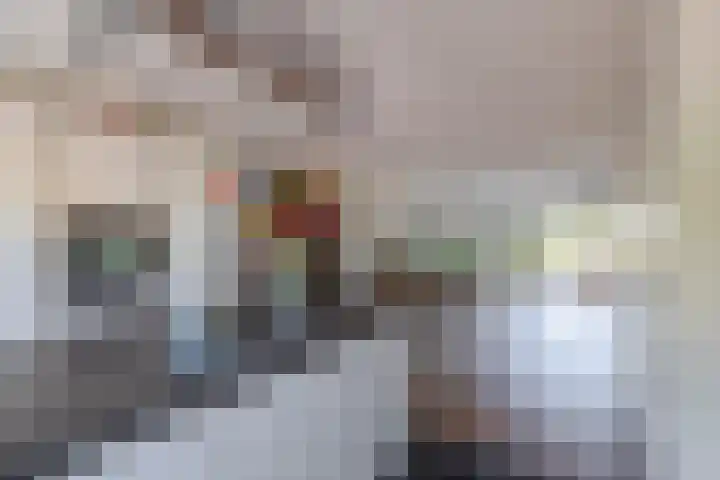 Zomerzon 10 Assendelft thumbnail 16