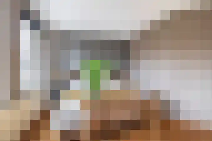 Zomerzon 10 Assendelft thumbnail 20