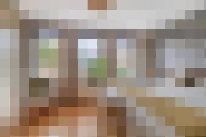 Zomerzon 10 Assendelft thumbnail 21