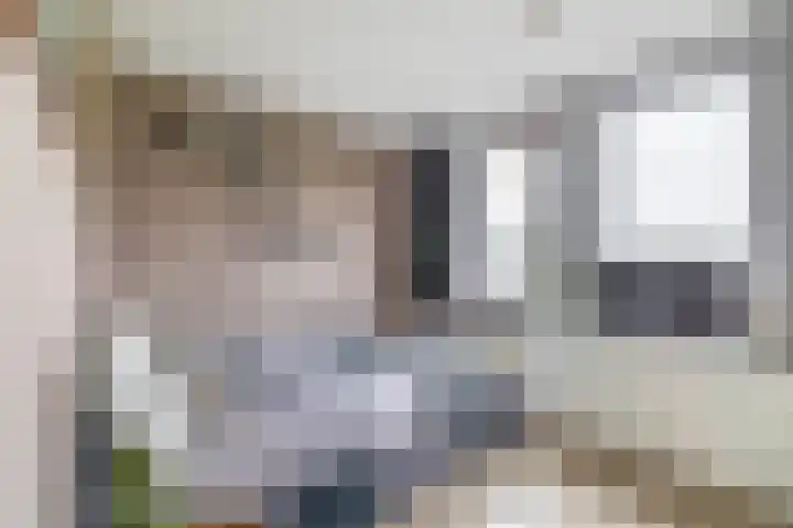 Zomerzon 10 Assendelft thumbnail 22