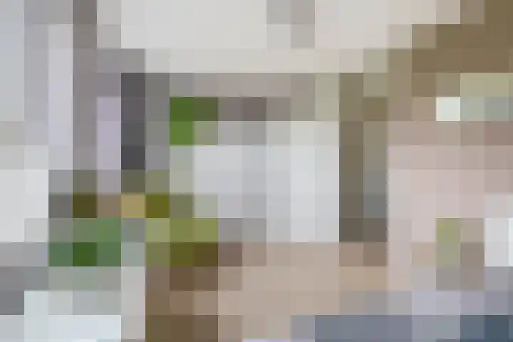 Zomerzon 10 Assendelft thumbnail 23