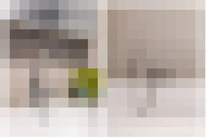 Zomerzon 10 Assendelft thumbnail 26