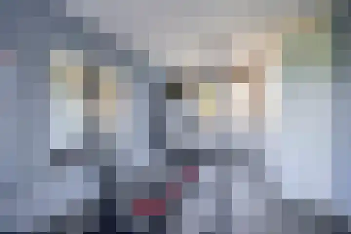 Zomerzon 10 Assendelft thumbnail 27