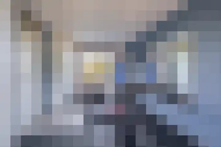 Zomerzon 10 Assendelft thumbnail 28