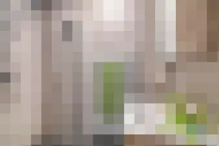 Zomerzon 10 Assendelft thumbnail 29