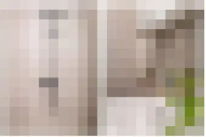 Zomerzon 10 Assendelft thumbnail 30