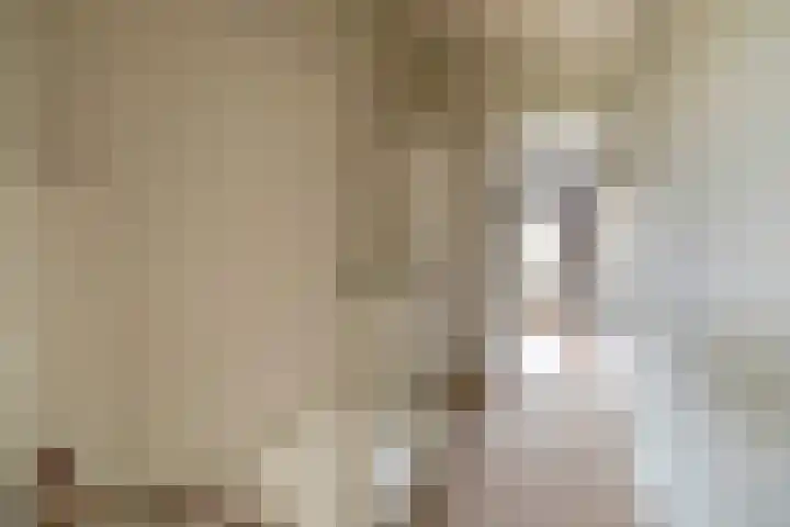 Zomerzon 10 Assendelft thumbnail 32