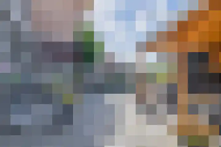 Zomerzon 10 Assendelft thumbnail 38