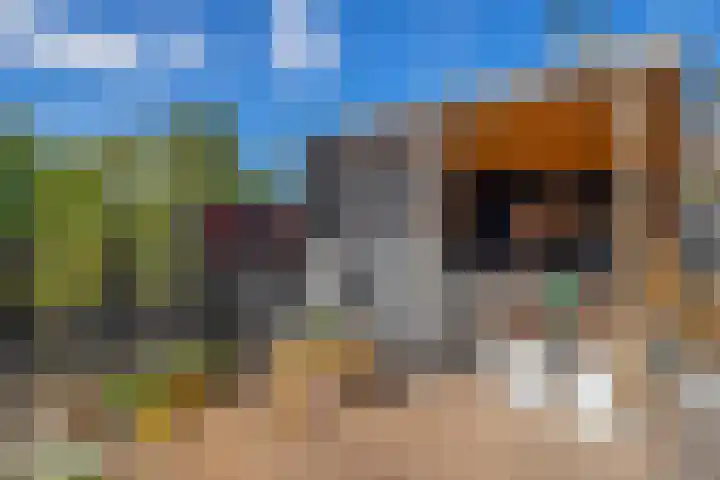 Zomerzon 10 Assendelft thumbnail 43