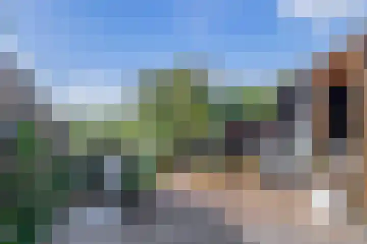 Zomerzon 10 Assendelft thumbnail 44