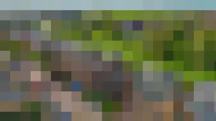Zomerzon 10 Assendelft thumbnail 46