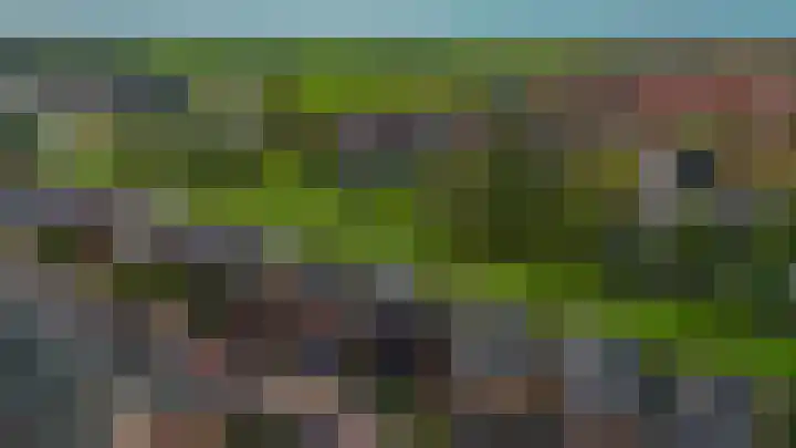 Zomerzon 10 Assendelft thumbnail 47