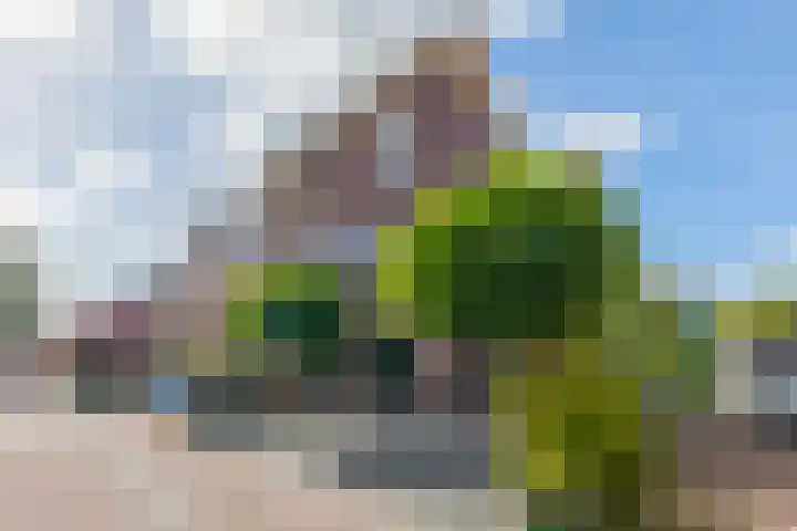 Zomerzon 10 Assendelft thumbnail 48