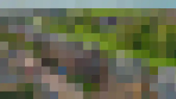 Zomerzon 10 Assendelft thumbnail 5