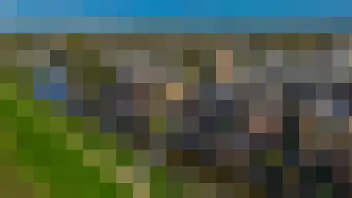 Zomerzon 10 Assendelft thumbnail 51
