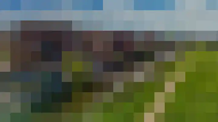 Zomerzon 10 Assendelft thumbnail 52