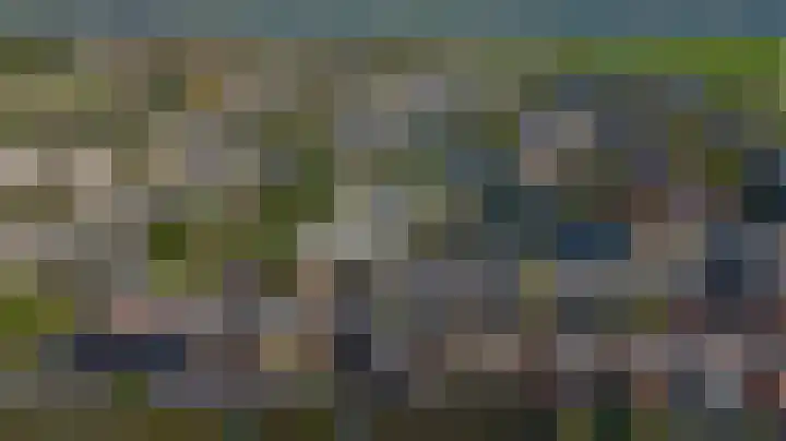Zomerzon 10 Assendelft thumbnail 55