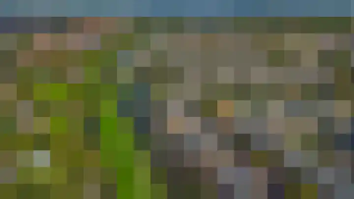 Zomerzon 10 Assendelft thumbnail 56