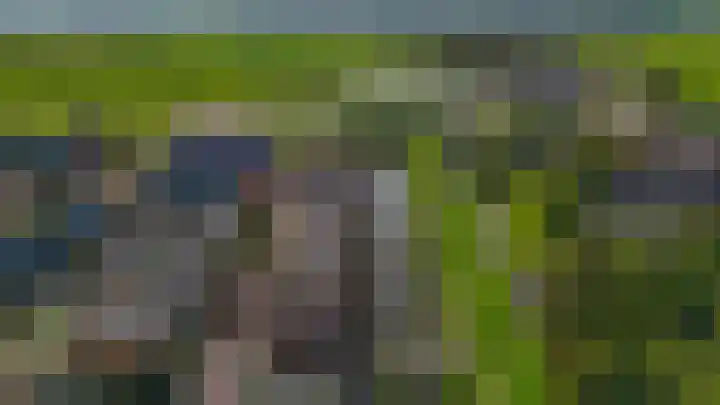 Zomerzon 10 Assendelft thumbnail 57