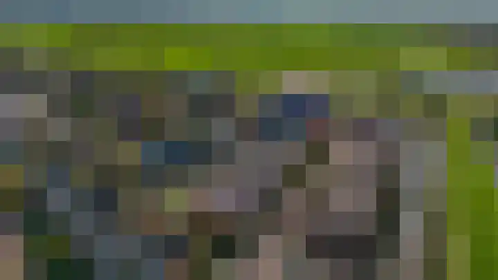 Zomerzon 10 Assendelft thumbnail 58