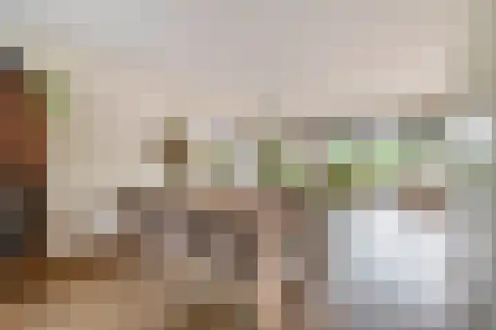 Zomerzon 10 Assendelft thumbnail 8
