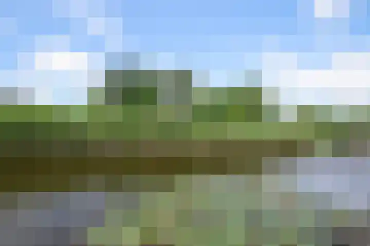 Zomerzon 14 Assendelft thumbnail 10