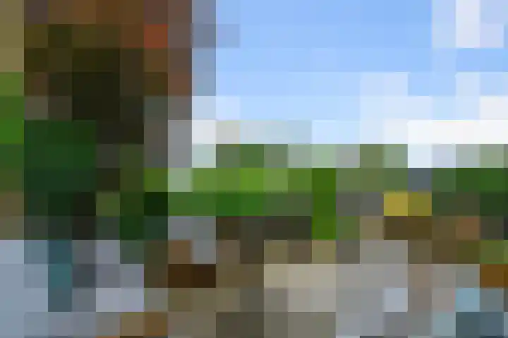 Zomerzon 14 Assendelft thumbnail 11