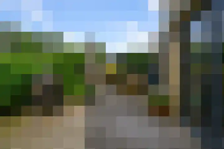 Zomerzon 14 Assendelft thumbnail 12
