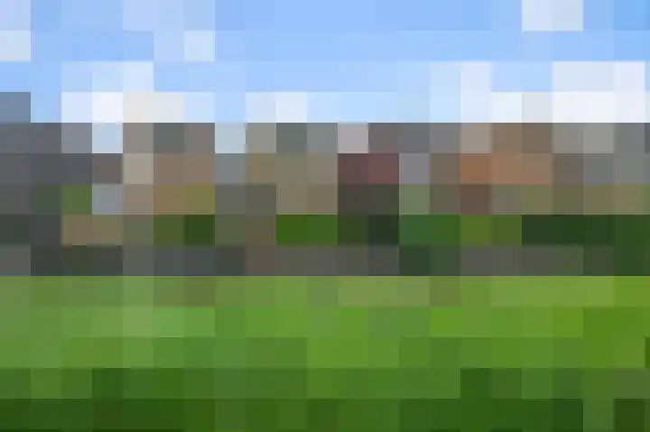 Zomerzon 14 Assendelft thumbnail 13