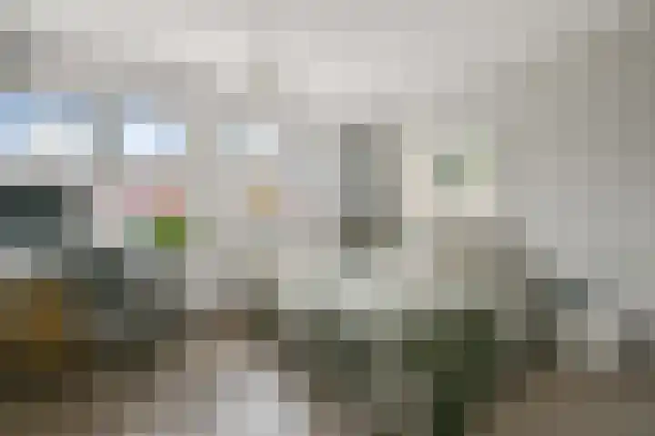 Zomerzon 14 Assendelft thumbnail 15
