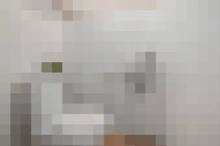 Zomerzon 14 Assendelft thumbnail 24