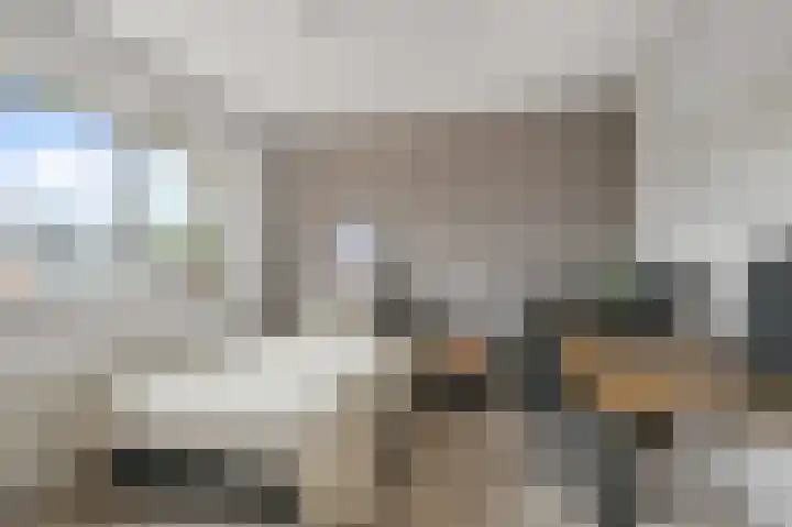 Zomerzon 14 Assendelft thumbnail 25