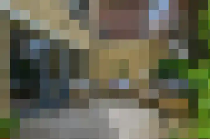 Zomerzon 14 Assendelft thumbnail 29
