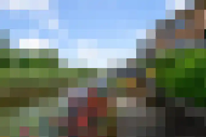 Zomerzon 14 Assendelft thumbnail 4