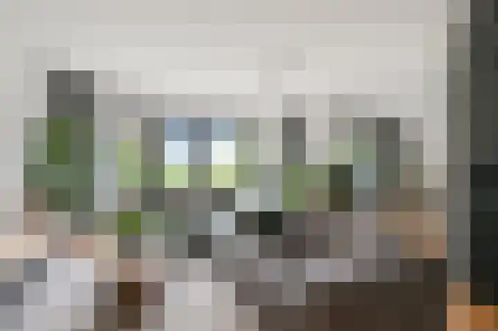 Zomerzon 14 Assendelft thumbnail 5