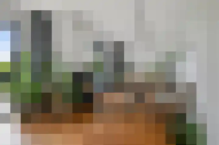 Zomerzon 14 Assendelft thumbnail 6