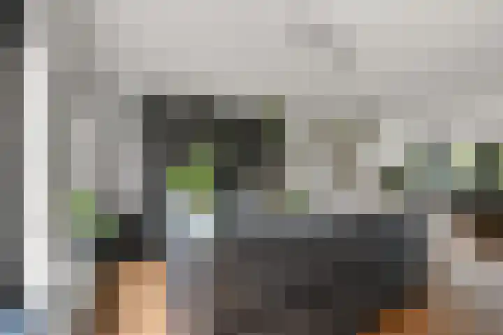 Zomerzon 14 Assendelft thumbnail 7