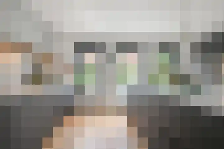 Zomerzon 14 Assendelft thumbnail 8