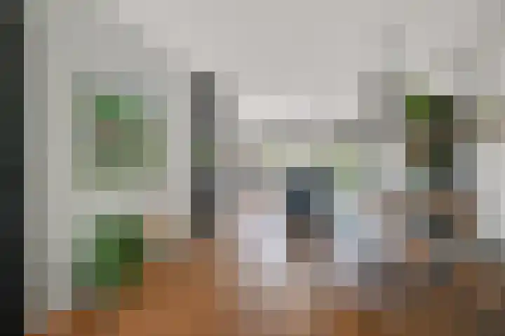 Zomerzon 14 Assendelft thumbnail 9