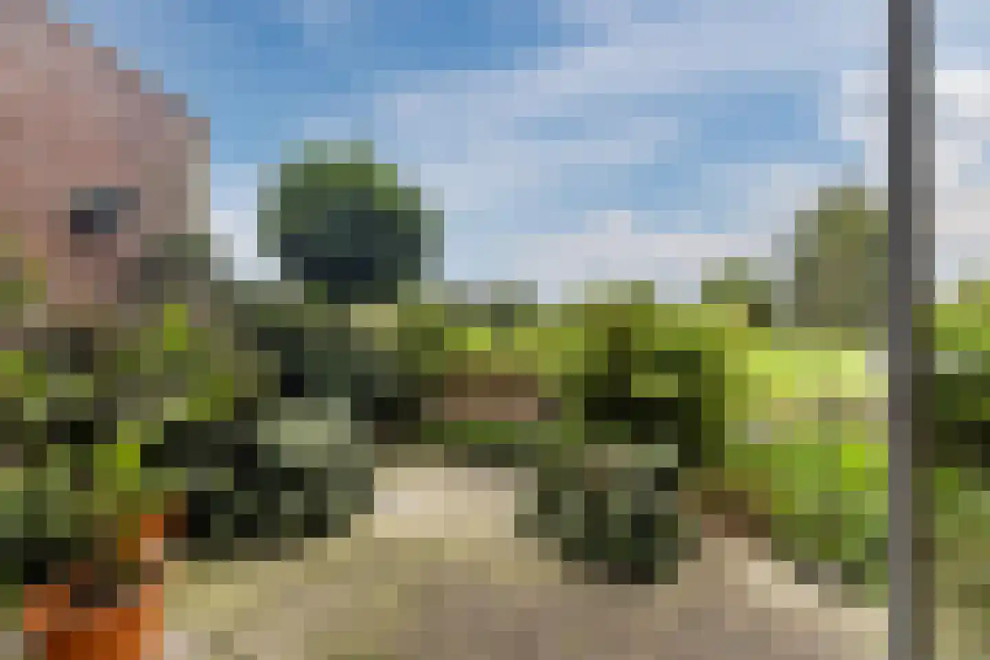 Zomerzon 16 Assendelft thumbnail 34