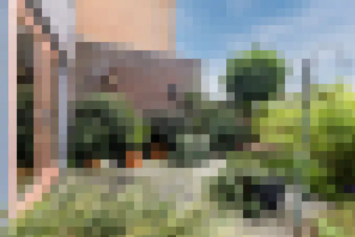 Zomerzon 16 Assendelft thumbnail 35