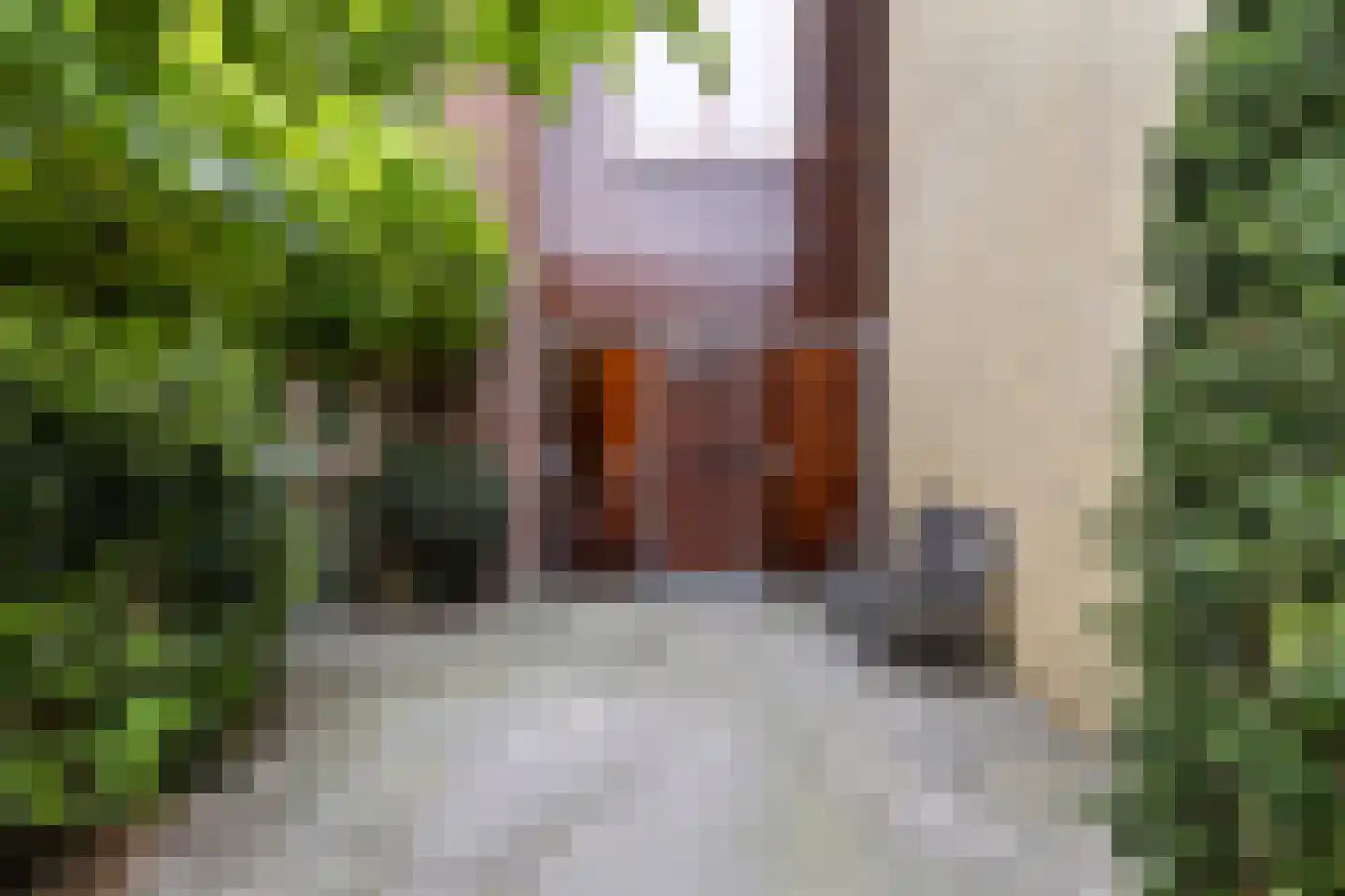 Zomerzon 16 Assendelft thumbnail 42