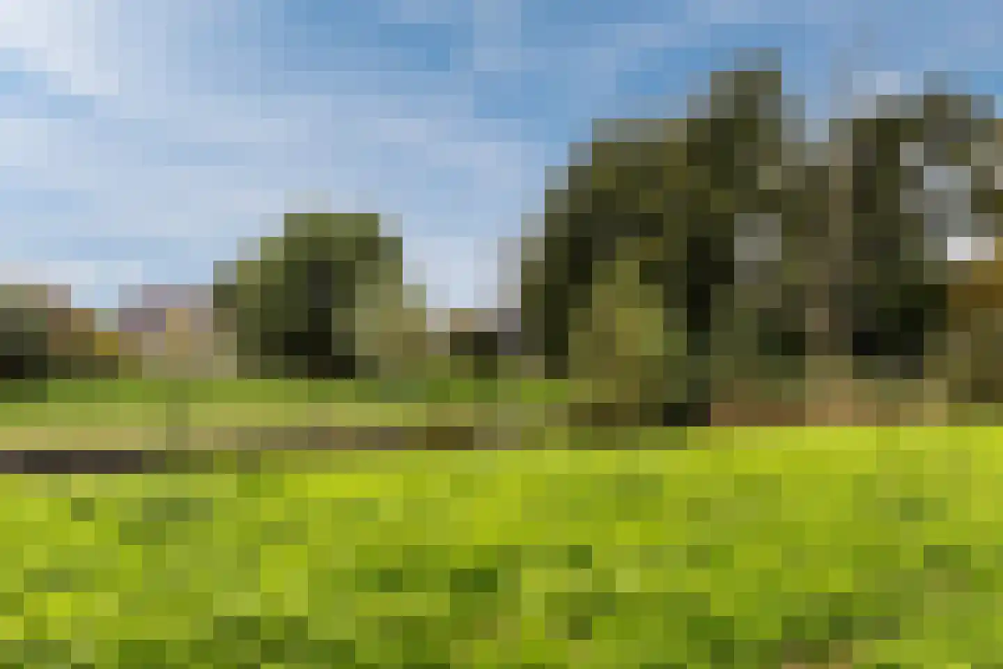 Zomerzon 16 Assendelft thumbnail 45