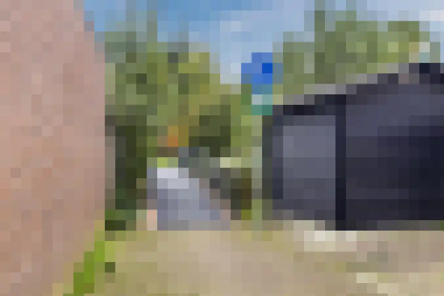 Zomerzon 16 Assendelft thumbnail 46