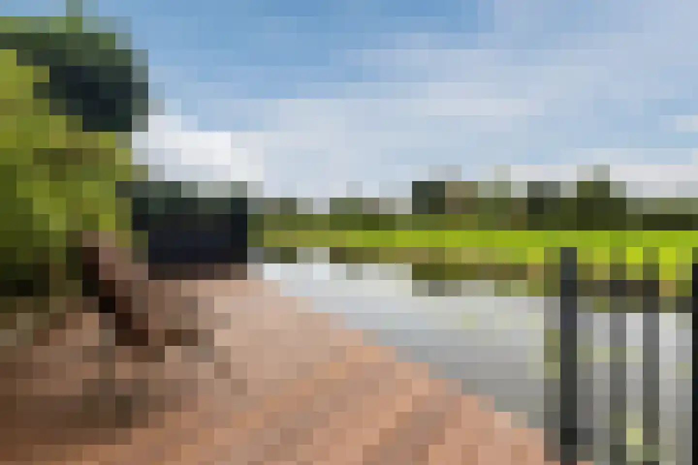 Zomerzon 16 Assendelft thumbnail 5