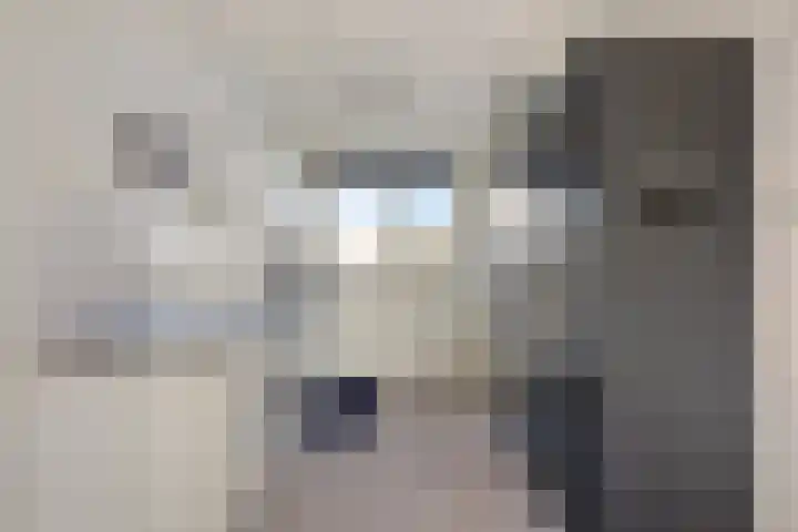 Zomerzon 54 Assendelft thumbnail 10