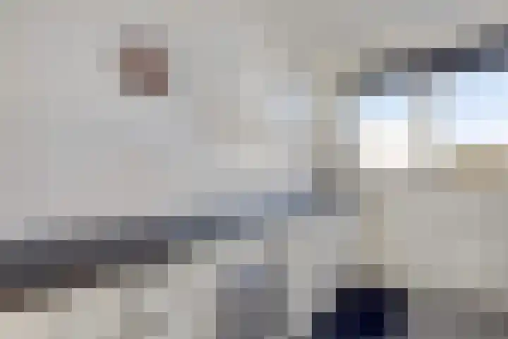 Zomerzon 54 Assendelft thumbnail 11